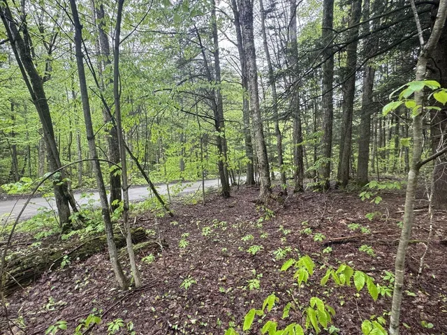 $90,000 | 1585 Amidon Road, Unit 3, Montgomery, VT 05471