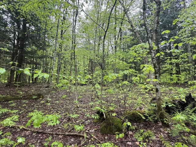 $90,000 | 1585 Amidon Road, Unit 3, Montgomery, VT 05471