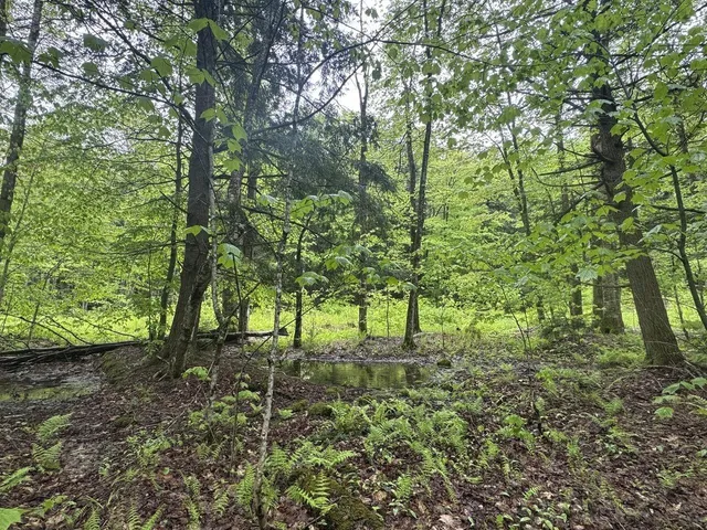 $90,000 | 1585 Amidon Road, Unit 3, Montgomery, VT 05471