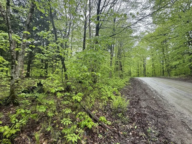 $90,000 | 1585 Amidon Road, Unit 3, Montgomery, VT 05471