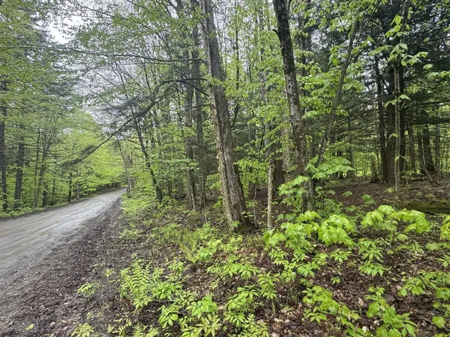 $90,000 | 1585 Amidon Road, Unit 3, Montgomery, VT 05471