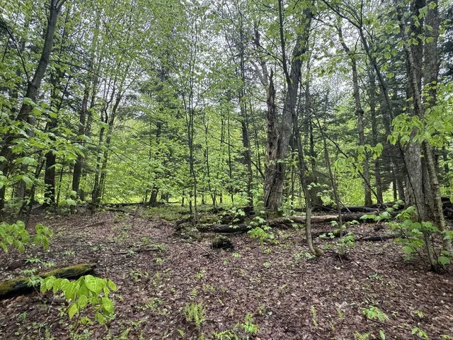 $90,000 | 1585 Amidon Road, Unit 3, Montgomery, VT 05471