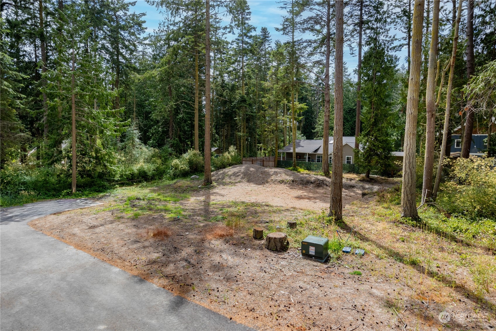 a view of backyard with tree