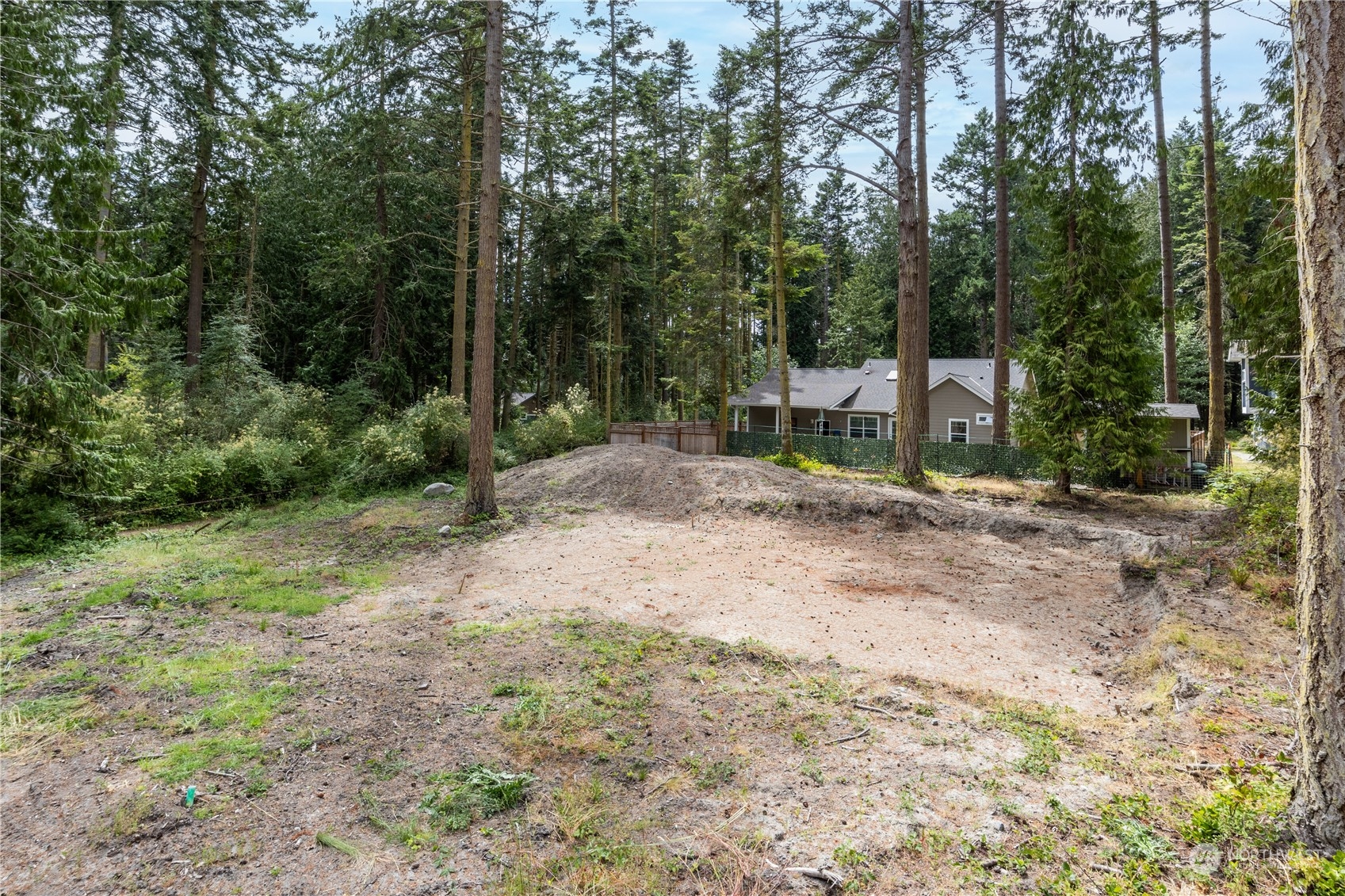 5201 Cleveland Street Port Townsend, WA 98368 - Photo 3 of 12 a view of backyard with green space