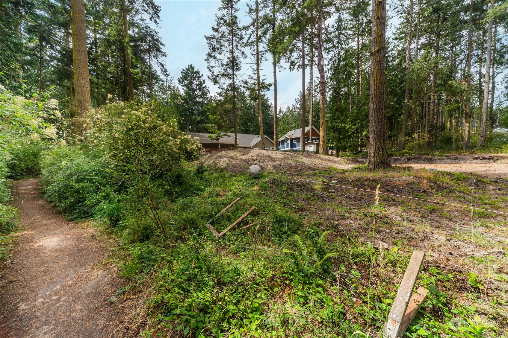 5201 Cleveland Street Port Townsend, WA 98368 - Photo 7 of 12 a view of backyard with tree