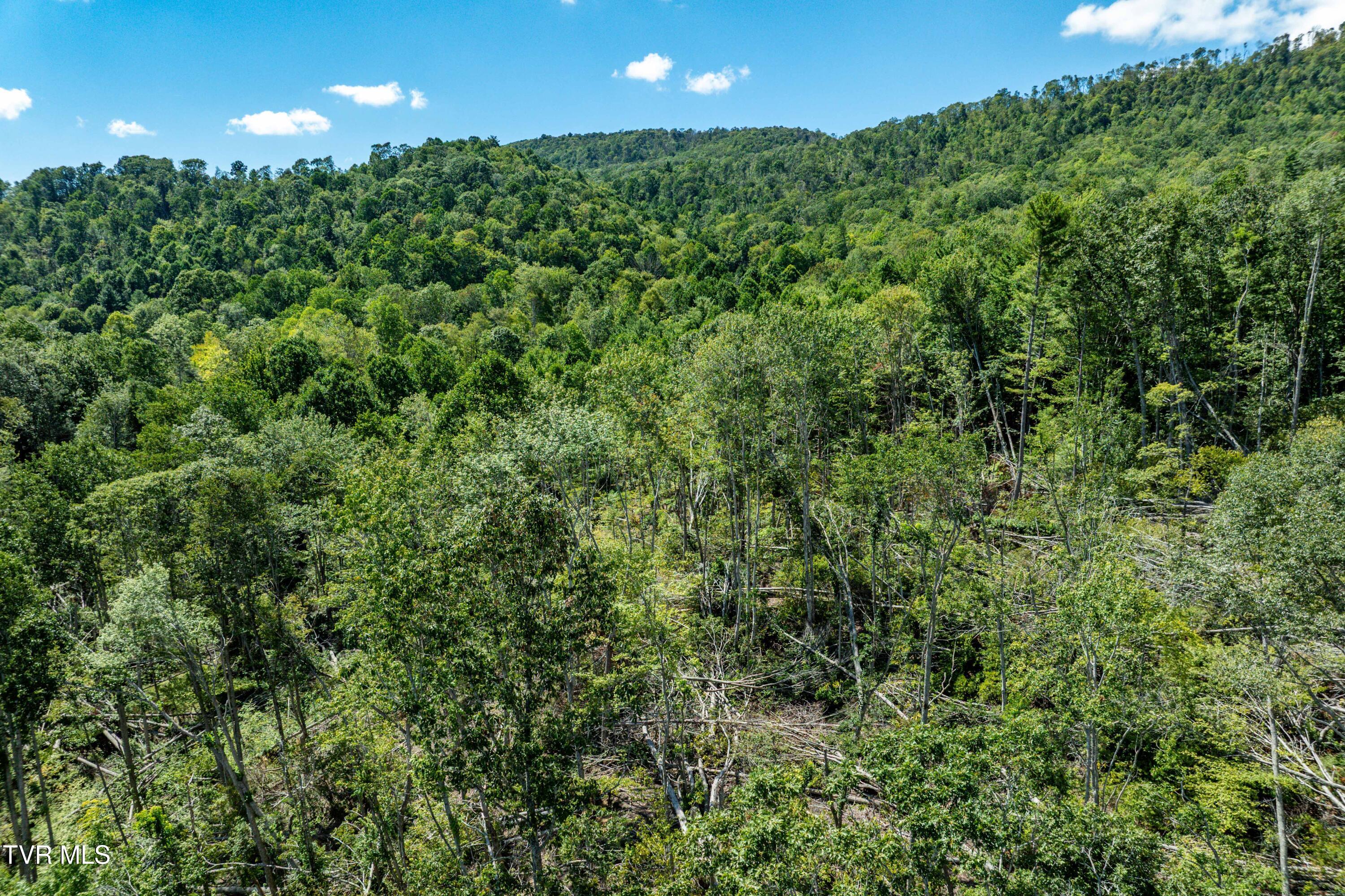 Tbd Bulldog Road Trade, TN 37691 - Photo 18 of 27 TBD Bulldog Rd (18 of 28)
