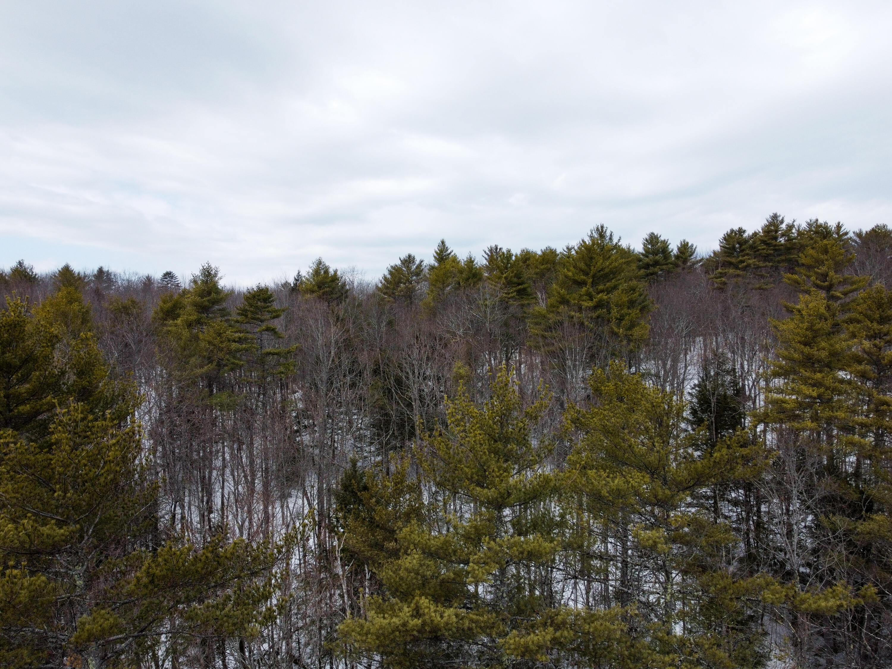 123 Poland Spring Road Casco, ME 04015 - Photo 9 of 13 DJI_0363