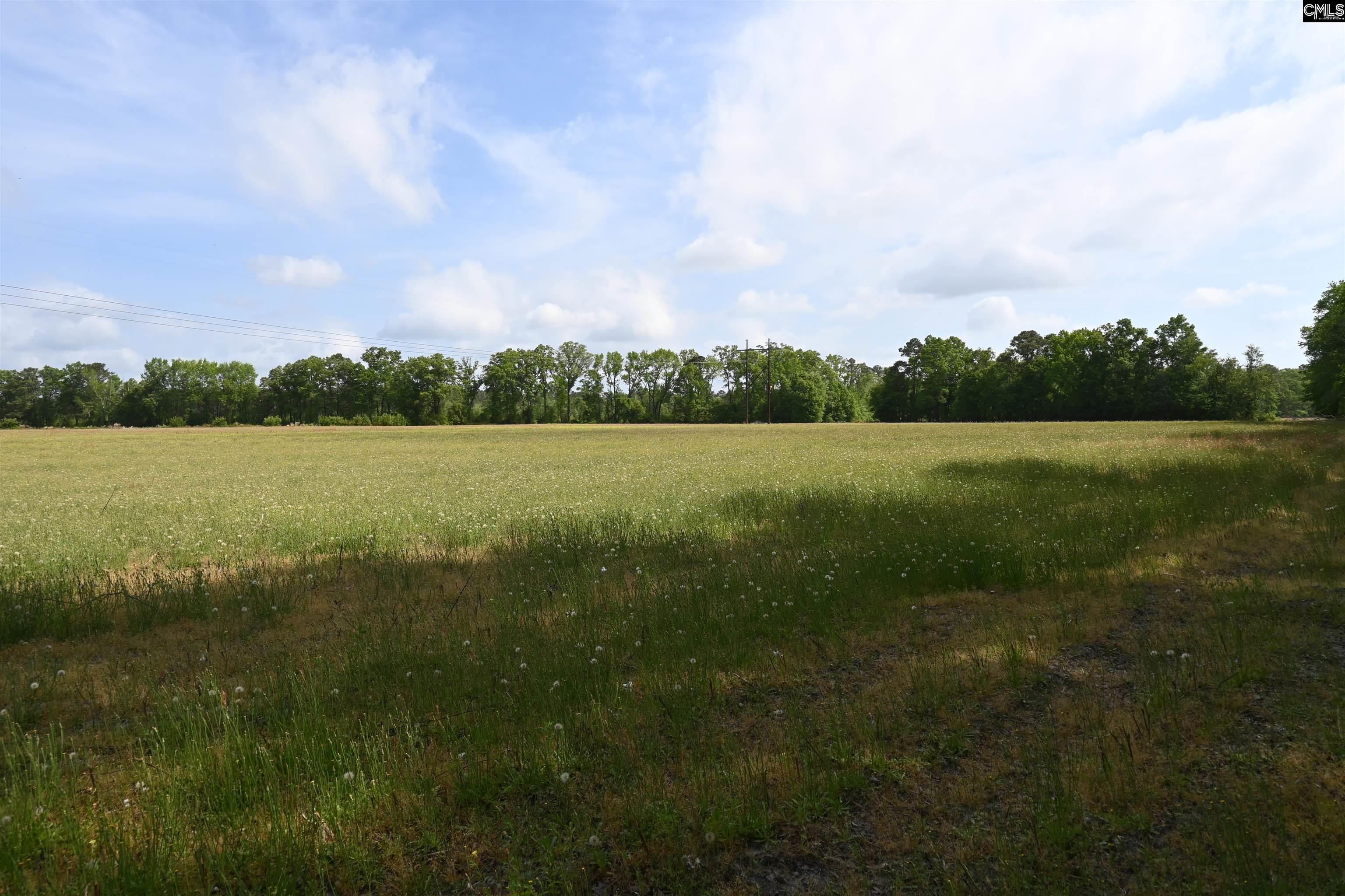 Tbd Gallowaytown Road Hartsville, SC 29550 - Photo 19 of 34