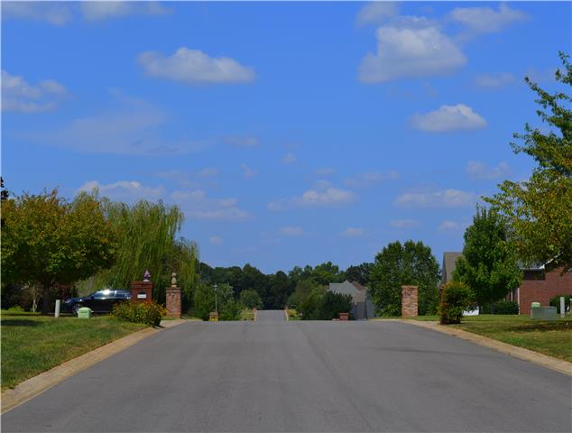 951 South Ridge Trail Clarksville, TN 37043 - Photo 16 of 17 View down the Street