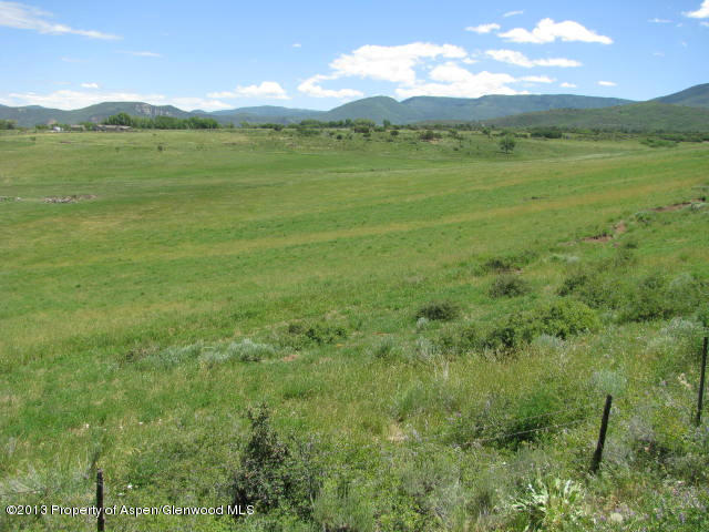 12176 58 Road Collbran, CO 81624 - Photo 6 of 6 12176 58 Road Collbran WALCK 009