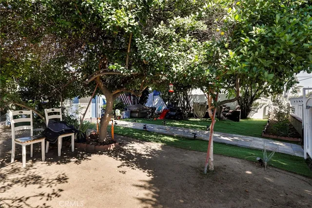 a view of park with tree