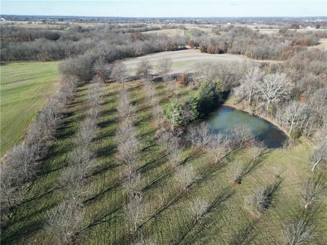 $674,999 | 3431 Old Stage Road, Mayview, MO 64071