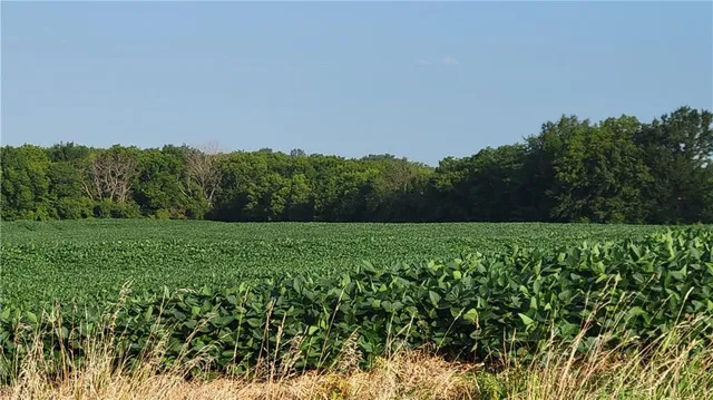 $674,999 | 3431 Old Stage Road, Mayview, MO 64071