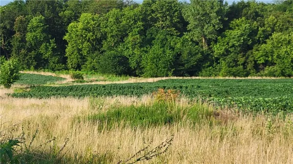 $624,999 | 3431 Old Stage Road, Mayview, MO 64071