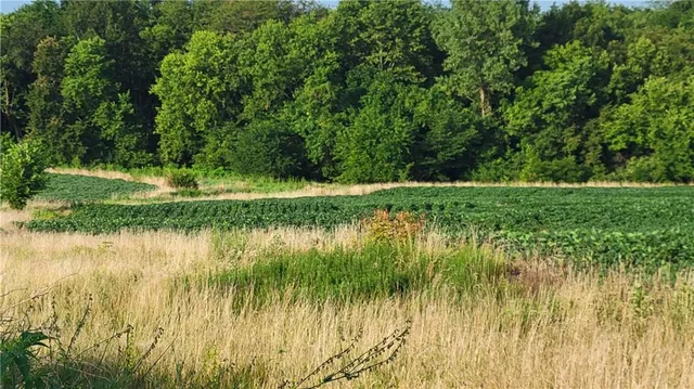 $674,999 | 3431 Old Stage Road, Mayview, MO 64071