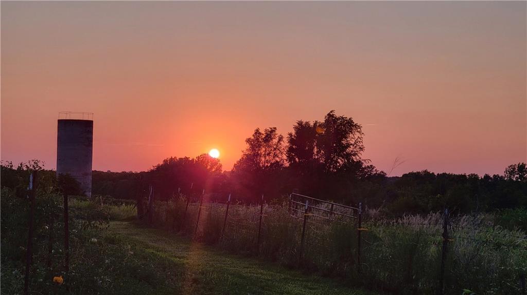 3431 Old Stage Road Mayview, MO 64071 - Photo 5 of 16