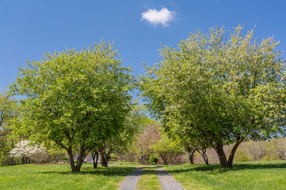 117 Samuel Bears Road Weyers Cave, VA 24486 - Photo 41 of 48 Gallery Image 41