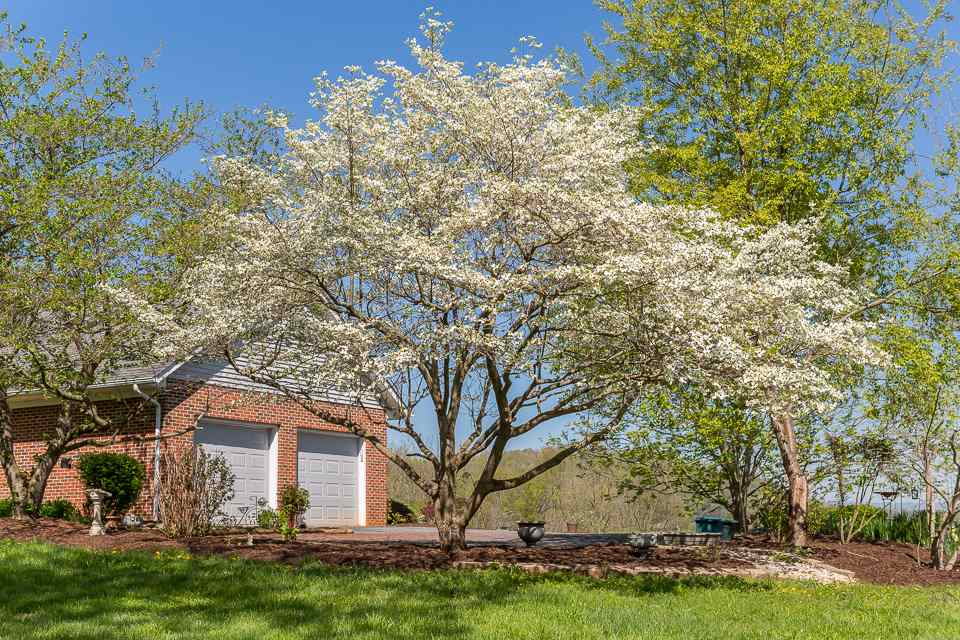 117 Samuel Bears Road Weyers Cave, VA 24486 - Photo 44 of 48 Gallery Image 44
