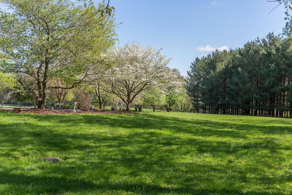 117 Samuel Bears Road Weyers Cave, VA 24486 - Photo 47 of 48 Gallery Image 47