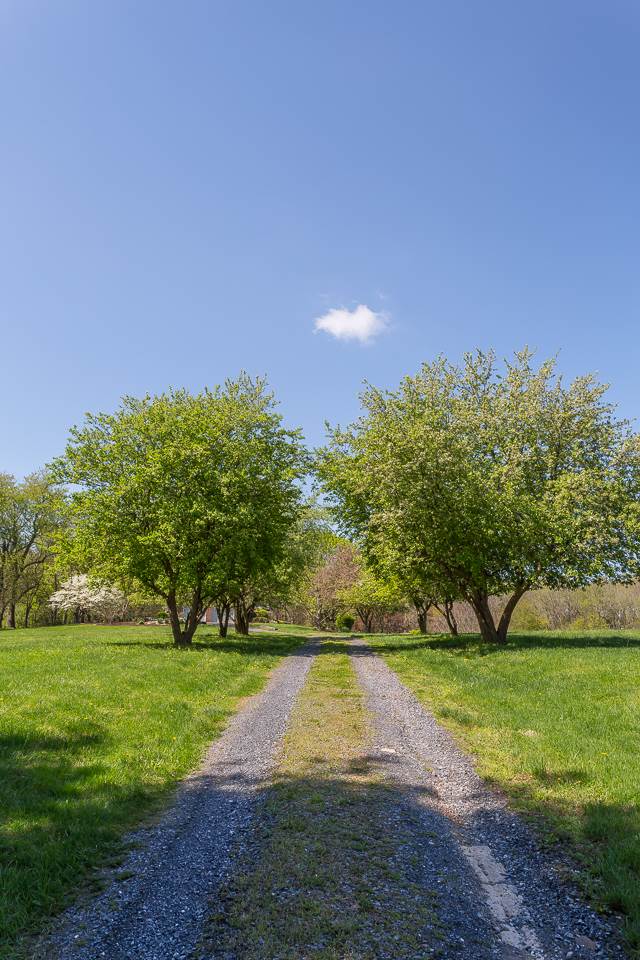 117 Samuel Bears Road Weyers Cave, VA 24486 - Photo 48 of 48 Gallery Image 48