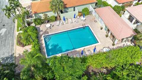 a view of a backyard with plants