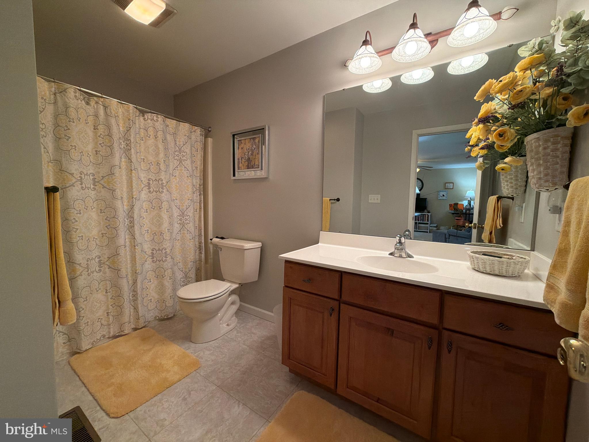 4245 Roth Farm Village Circle Mechanicsburg, PA 17050 - Photo 31 of 42 a bathroom with a toilet sink and mirror