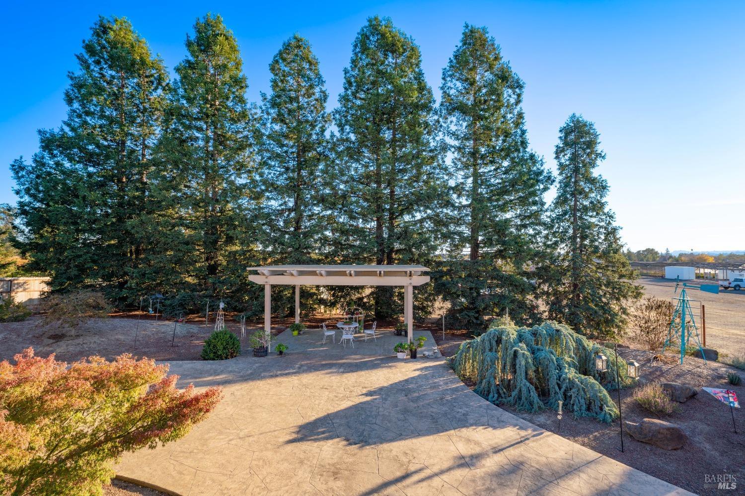 2208 Olivet Road Santa Rosa, CA 95401 - Photo 60 of 65 a view of house with outdoor seating and covered with trees