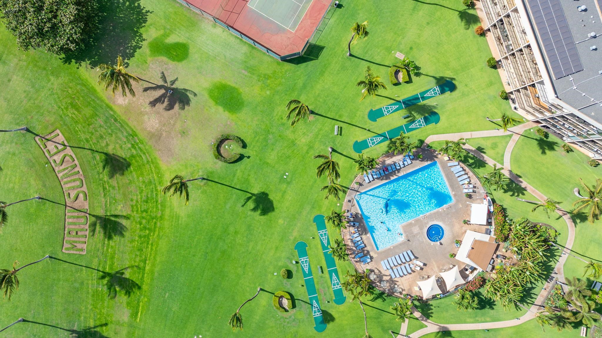 a view of a bunch of plants