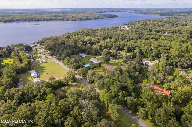a view of a flower arrangement in a garden