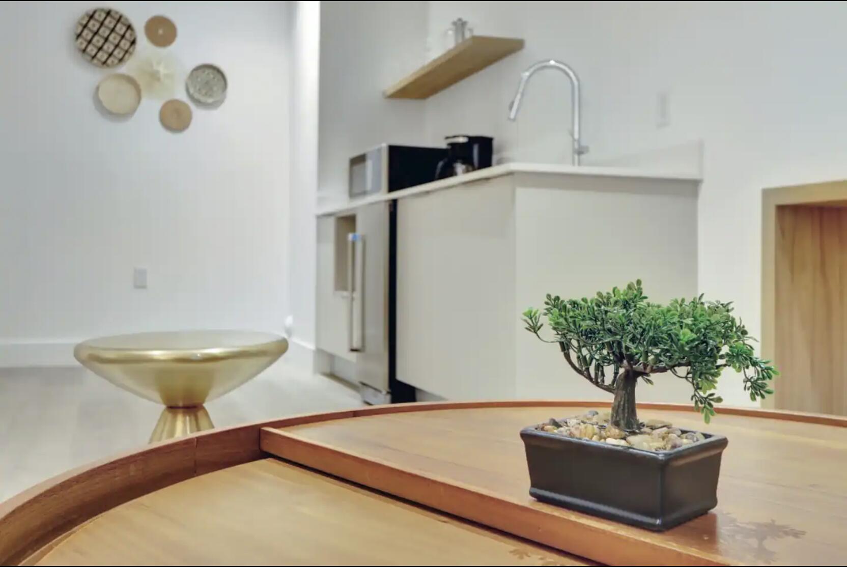 229 Southwest 9th Street, Unit 201 Miami, FL 33130 - Photo 5 of 21 a living room with furniture and a potted plant