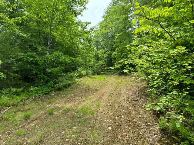 $300,000 | M-r22-l14 Greenwoods Road, Sumner, ME 04292
