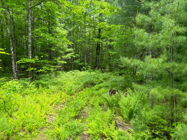 $300,000 | M-r22-l14 Greenwoods Road, Sumner, ME 04292