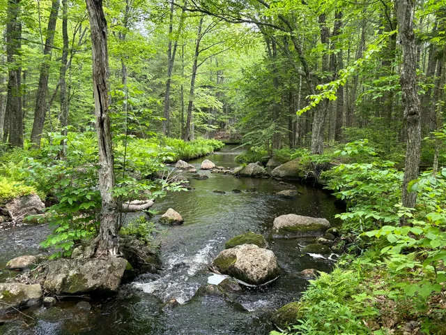 $300,000 | M-r22-l14 Greenwoods Road, Sumner, ME 04292