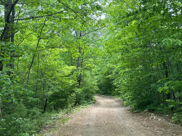 $300,000 | M-r22-l14 Greenwoods Road, Sumner, ME 04292
