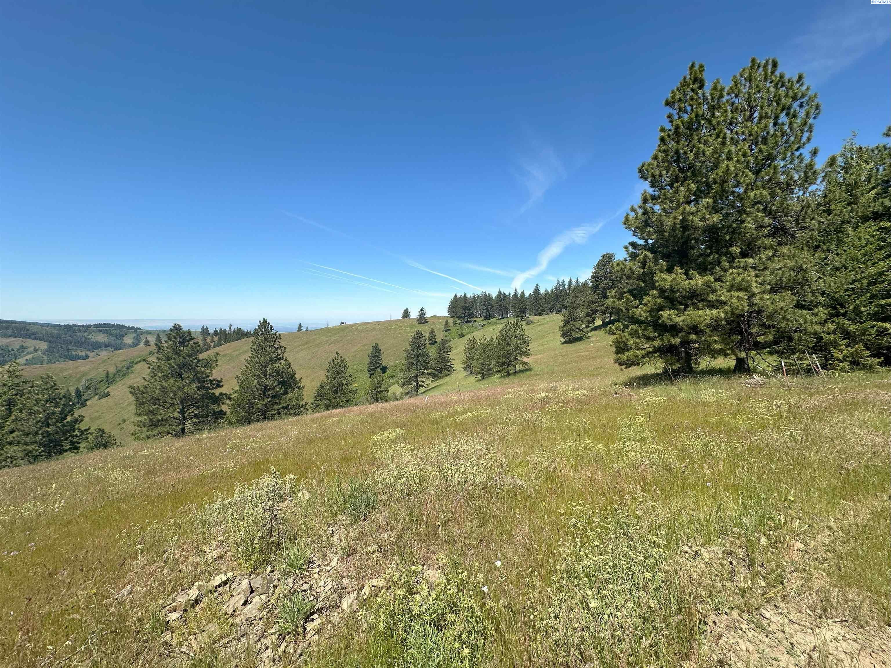 Unk10 Blacksnake Ridge Road Walla Walla, WA 99362 - Photo 41 of 48 Gallery Image 41