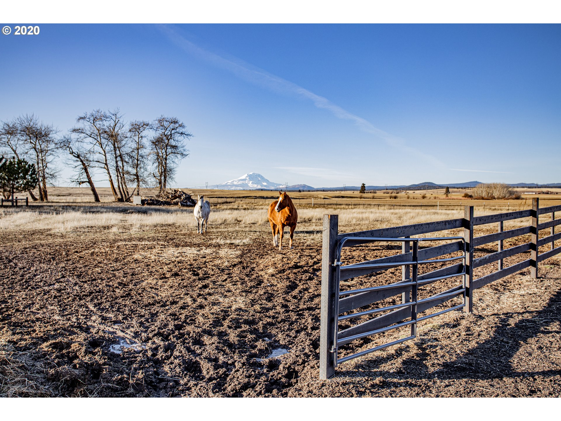 219 Fairgrounds Road West Goldendale, WA 98620 - Photo 28 of 32 Gallery Image 28