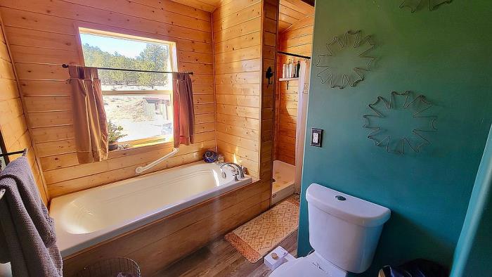 475 Sioux Road Florissant, CO 80816 - Photo 10 of 46