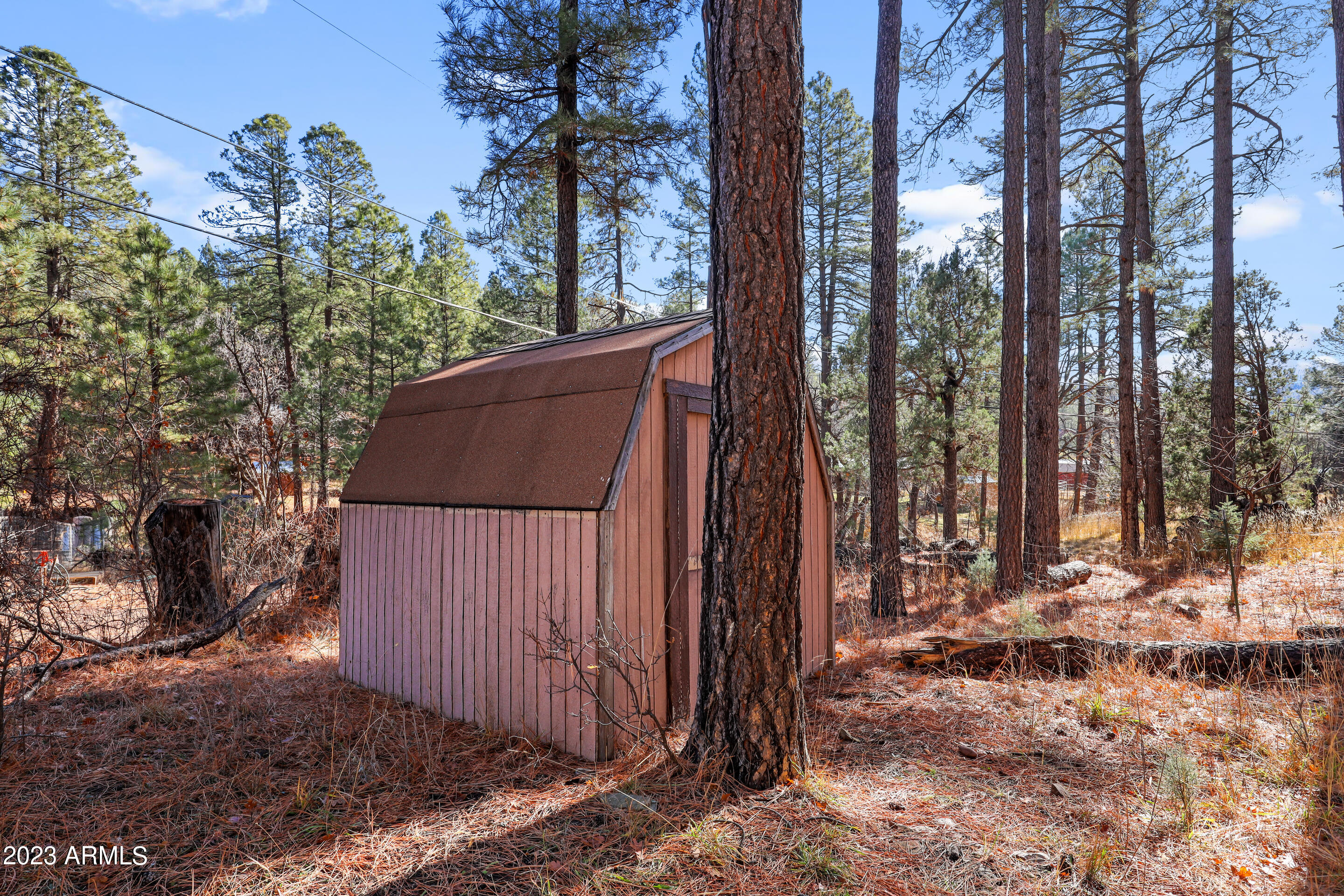104 Blackfoot Road Payson, AZ 85541 - Photo 21 of 21 mls-1E0A8053