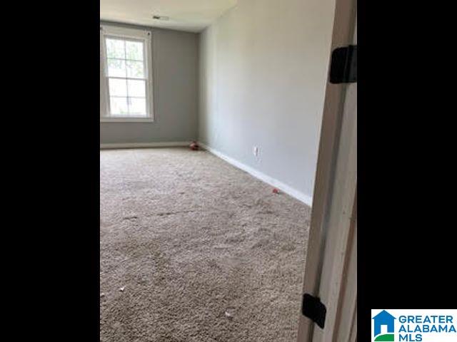 110 Pine Street Pell City, AL 35125 - Photo 32 of 50