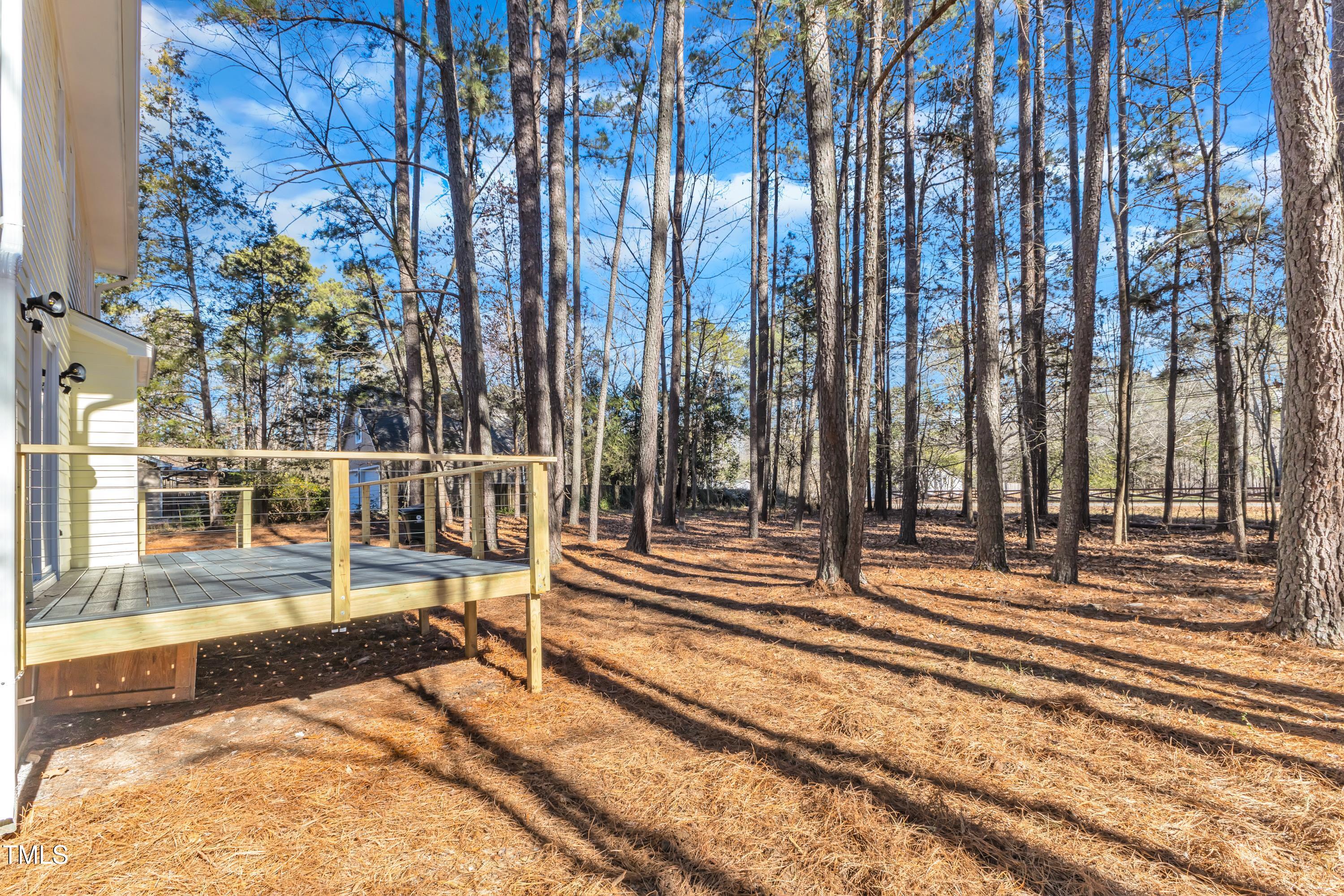 1006 Sedwick Road Durham, NC 27713 - Photo 29 of 34 1006 Sedwick Deck