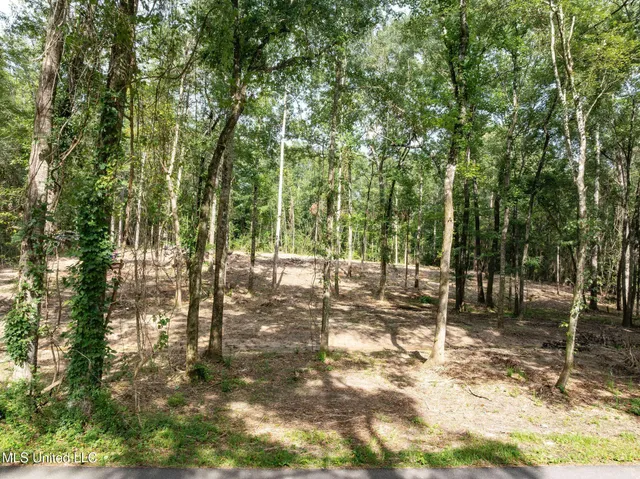 $59,500 | Lot 4 Acres) Beverly Hills Drive, Hattiesburg, MS 39402