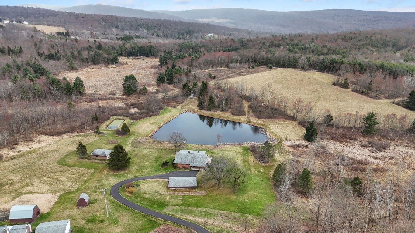 492 Bunn Hill Road Vestal, NY 13850 - Photo 3 of 50