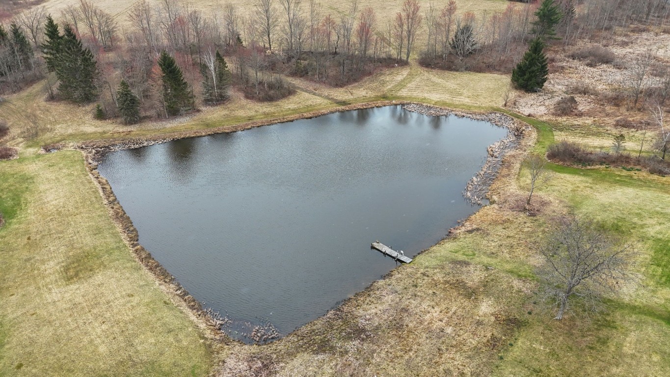 492 Bunn Hill Road Vestal, NY 13850 - Photo 45 of 50