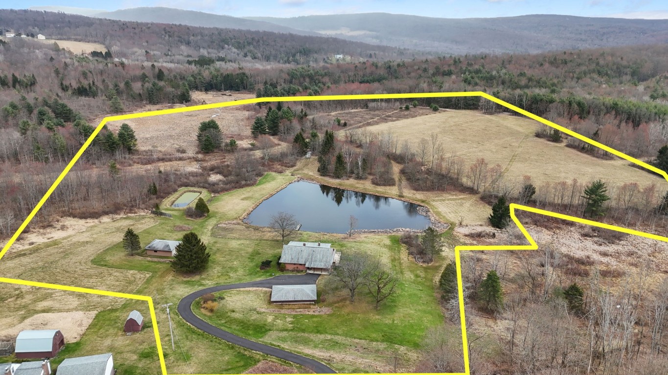 492 Bunn Hill Road Vestal, NY 13850 - Photo 5 of 50