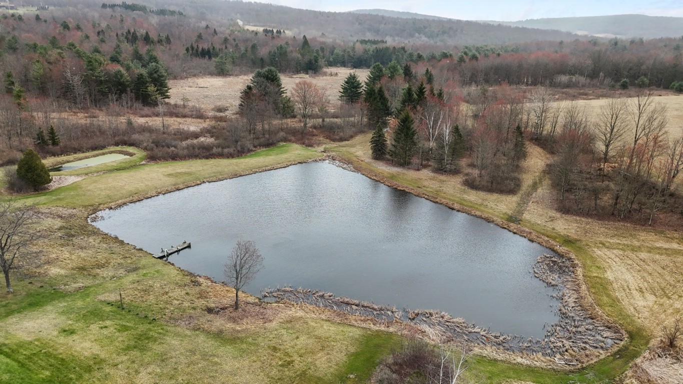 492 Bunn Hill Road Vestal, NY 13850 - Photo 7 of 50