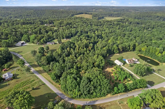 an aerial view of residential houses with outdoor space and trees