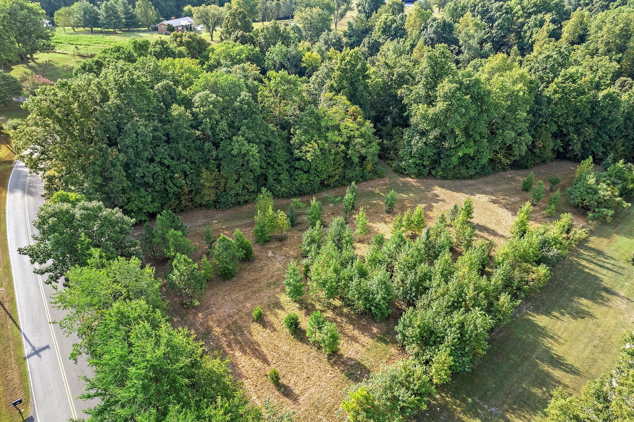 2 Old County House Road White Bluff, TN 37187 - Photo 4 of 8 a backyard of a house with a yard and outdoor seating