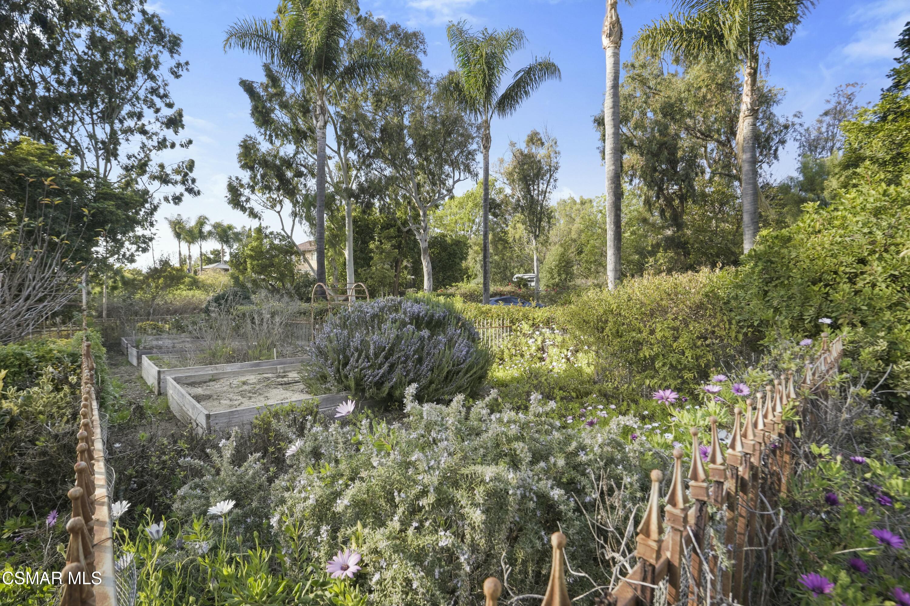 2700 Duval Road Camarillo, CA 93012 - Photo 19 of 47 tempImageZaOvZQ