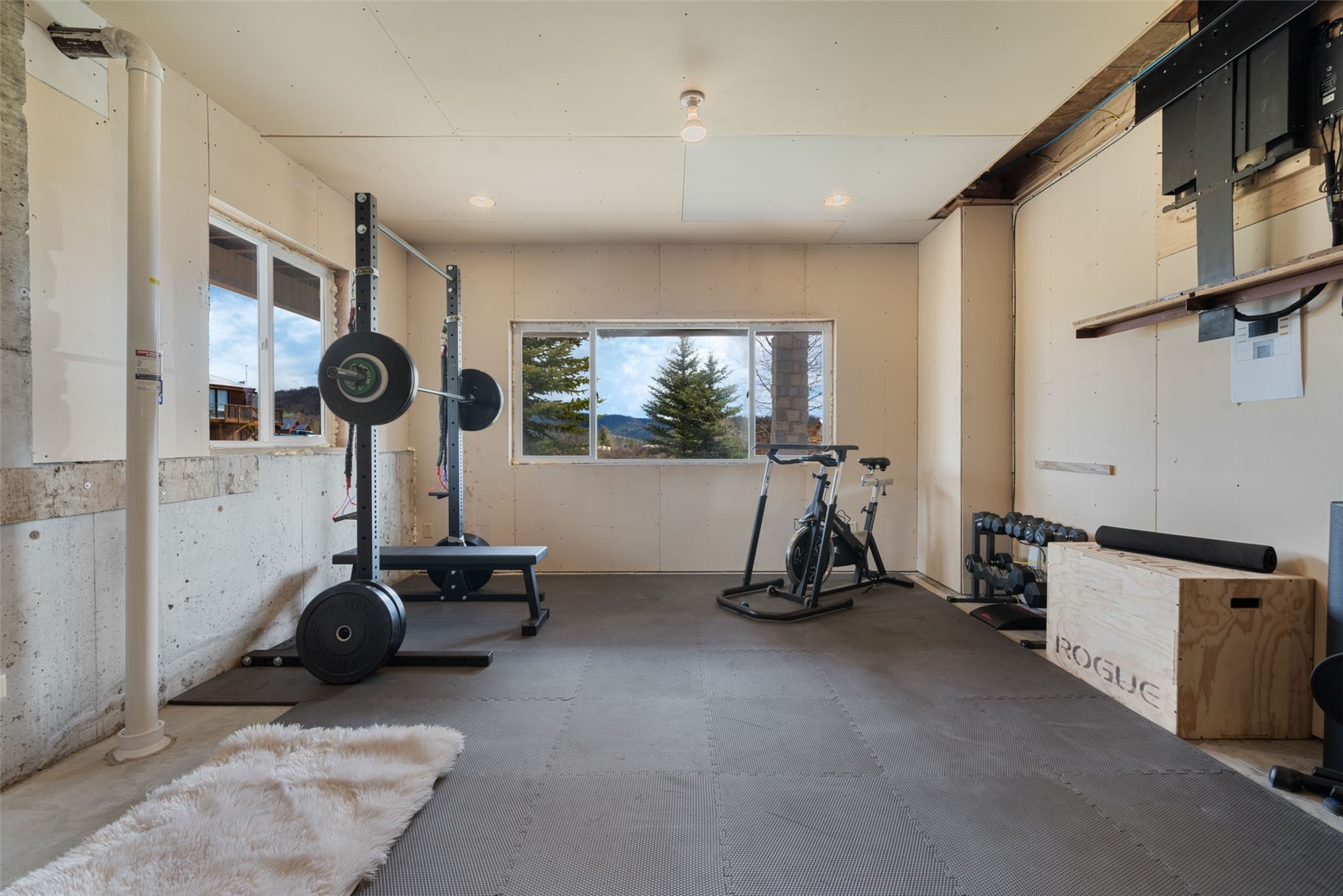 57415 Clara Way Clark, CO 80428 - Photo 21 of 38 Unfinished flex space
