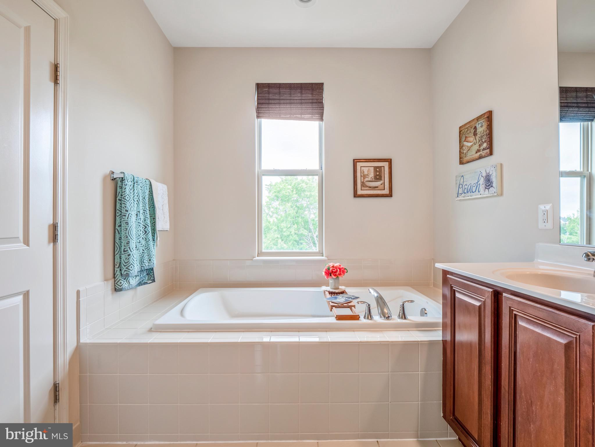 23366 Evening Primrose Square Brambleton, VA 20148 - Photo 18 of 28 a bath tub sitting next to a window